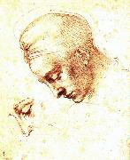 Study of a Head Michelangelo Buonarroti